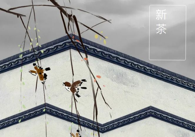 太極莊新菊上市！白菊婉清顏，芳香滿庭院