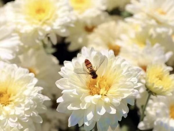 國慶、中秋假期怎么玩才值？這份【不擠人＋高性價比】攻略請查收！